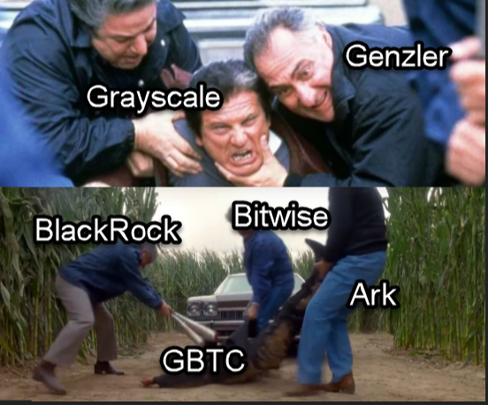Bitcoin Meme